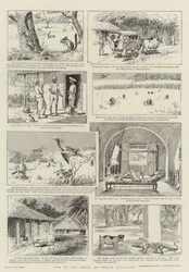 Vida en y alrededor de un bungalow indio